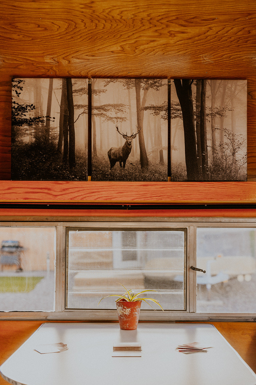 The Buck β 1967 Field and Stream